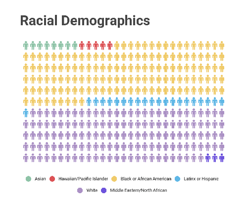 2019 pictogram of racial demographics